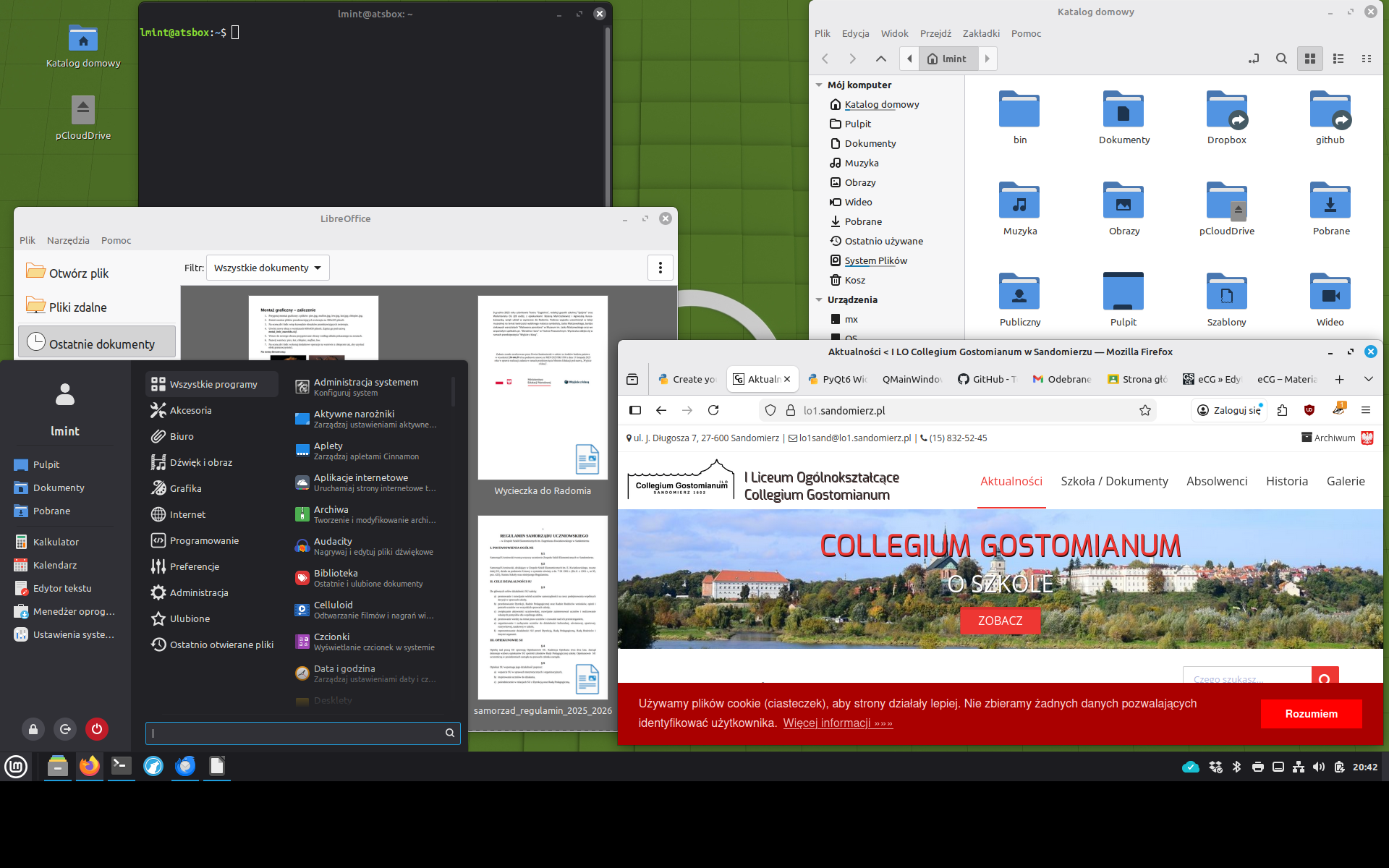 Zrzut pulpitu systemu Linux Mint Cinnamon